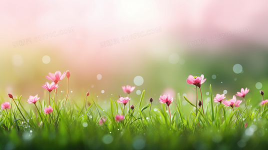 双神瞳收集终极指南：奖励内容与获取方式