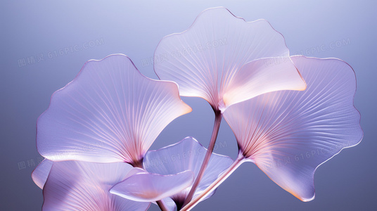 从非遗到流行：2025辽宁卫视元宵晚会的文化跨界实验