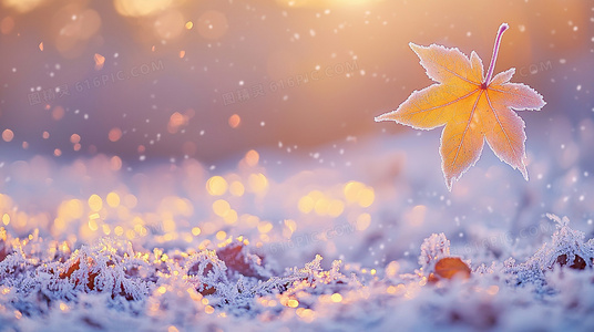 在同一座城市的平行时空：导航无法抵达的拥抱