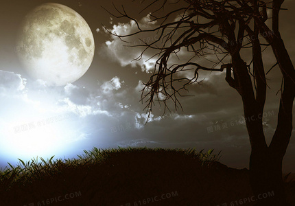 穿越者VS本土神明：白金龙王是否具备弑神力量？