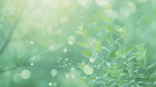 血色婚宴：爱与黑暗交织的禁忌典礼