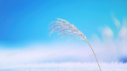 鬼面低语:揭开伤痕背后的禁忌真相