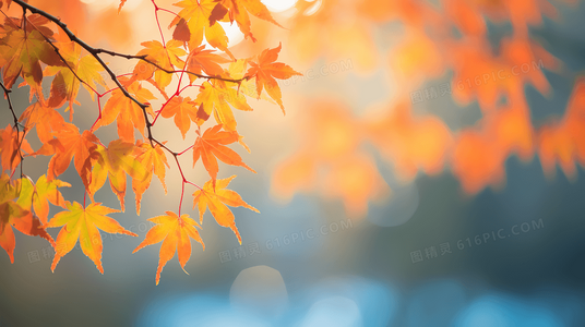 从剧情到观看：杀手密码2全方位指南与免费资源推荐