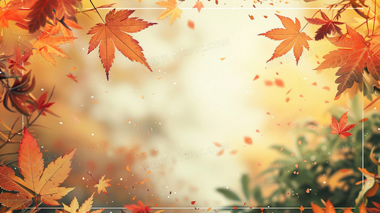 双面追凶：白与黑的致命游戏