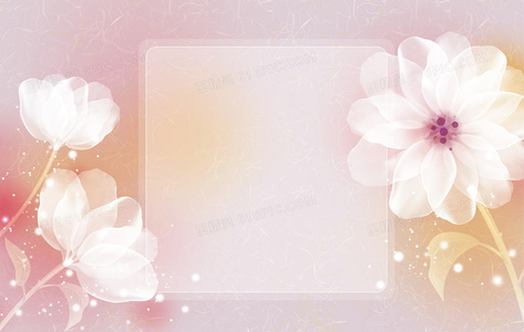 非她不可男主身份揭晓：谁才是命中注定的他？