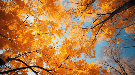 学校怪谈系列:言灵诅咒的惊悚故事