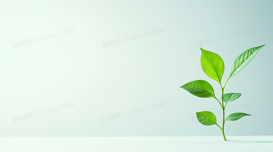 反乌托邦新经典:同等族群如何重构未来社会图景