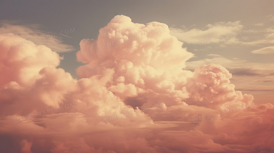 布鲁伊第二季中文版在线观看：平台对比与选择建议