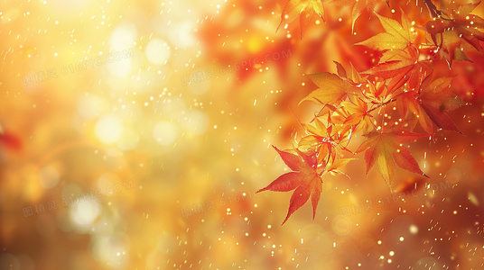 从汝之名完整版看新海诚的叙事美学与情感哲学