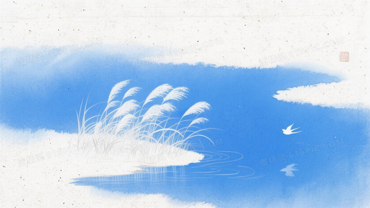 从青涩到游刃有余：小白的综艺成长之路