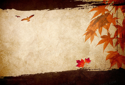 血色菩提：揭开恒河杀树背后的千年阴谋