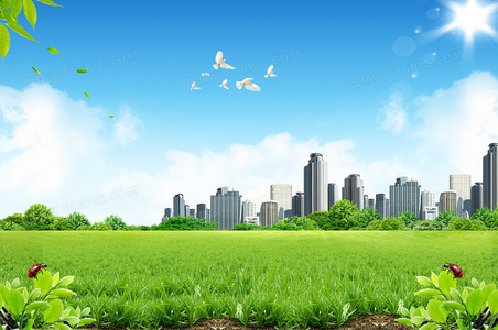 暗影编织者：影之地带的隐秘守护者