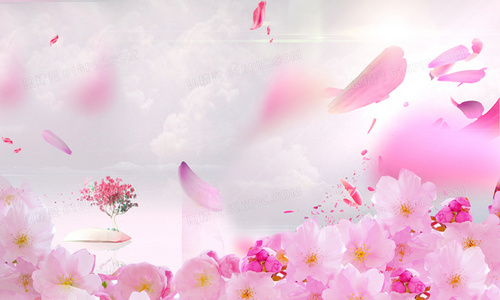 花语笔记的魔法秘密：星卡梦少女1隐藏剧情彩蛋全揭秘