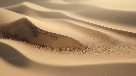 从音标到口语:保利娜英语怎么读完全指南