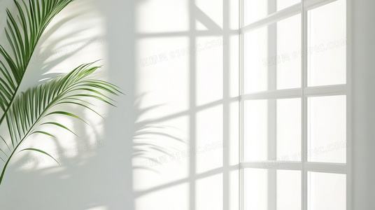 “是否成人的世界背后总有残缺”：歌词对现实生活的温柔叩问