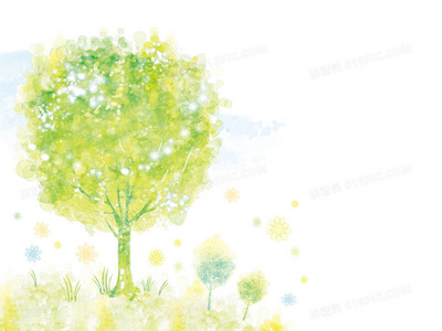 不止于表面:高端清洗服务包含哪些特色项目?