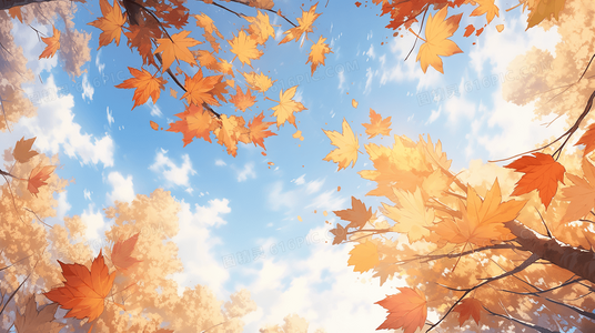 齿轮上的故事：那些逐渐消失的老自行车零件