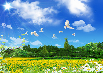 从牧羊女到民谣歌手：阿刁音乐中的自由与挣扎