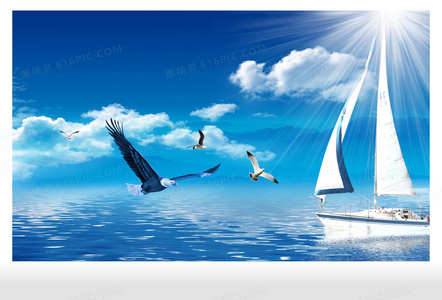 飞鸭向前冲普通话版：一段关于勇气与家庭的旅程