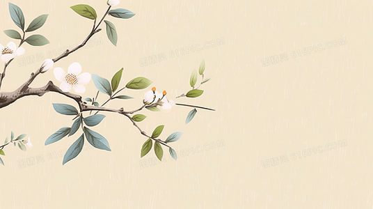 楚扬的狂野青春：极速与浪漫的交织