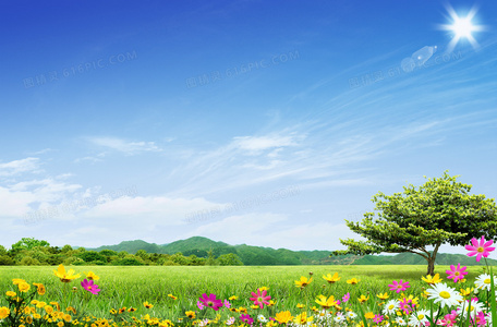 裙摆飞扬的浪漫:探秘法国康康舞舞团的美女舞者