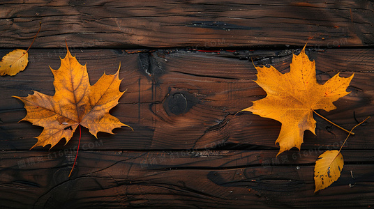 从信任到崩塌：律师视角下的真相背后故事线
