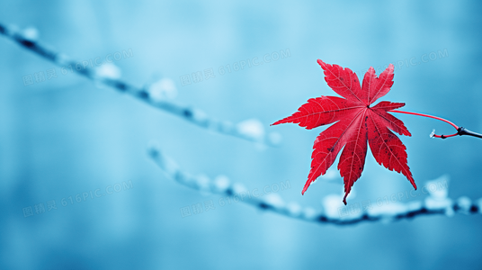 婚姻观察室再升级:李艾、张翰等嘉宾犀利点评夫妻关系