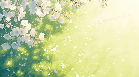 五灵之力VS芒果魔法!猪猪侠第五季新篇章开启