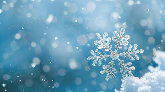 剧情高潮不断：为什么小姑子成为热议家庭剧？