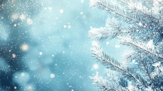 最后的艇家:水上人家的味觉地图