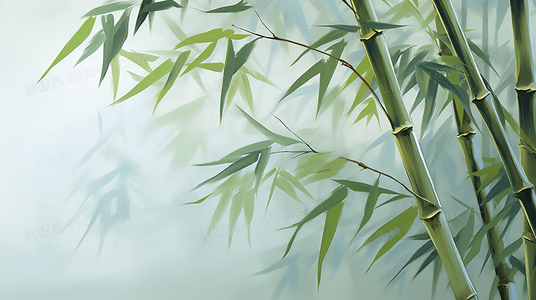 从头顶到心底：跨越身高的浪漫邂逅