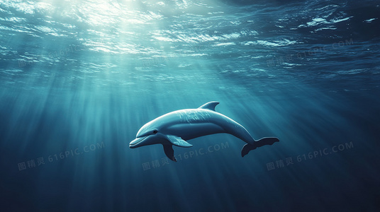 动画与漫画对比：暴力美学的不同诠释