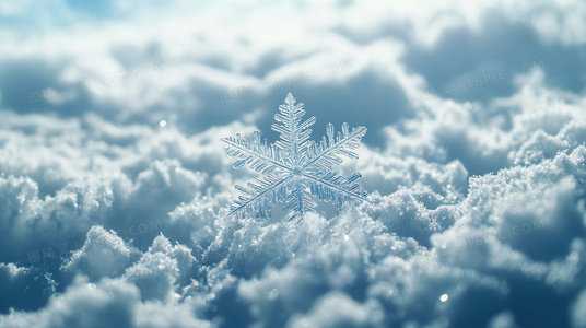 网友热议!嘲笑的淑女大结局在线观看后,口碑如何?