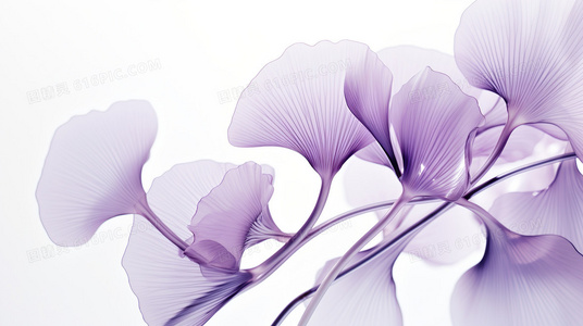 年龄只是数字？我的高中复读生涯