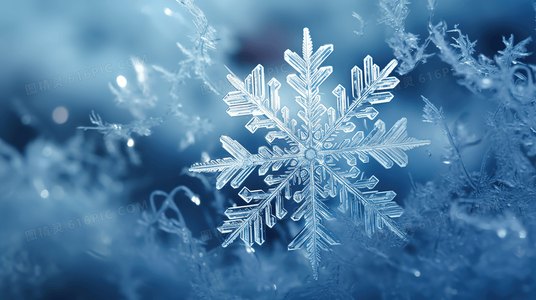 玫瑰岛档案:意大利语原始文件揭示的建国真相