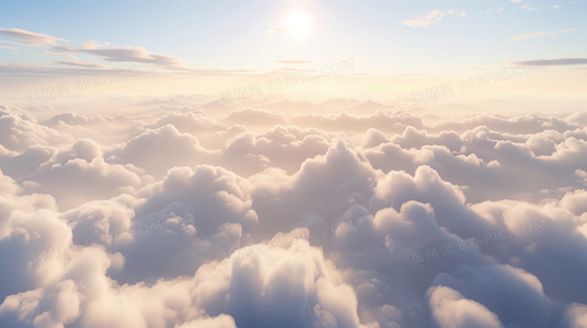 热带风暴：神探搭档再破悬案