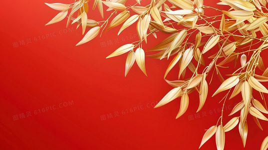 菜鸟2015：初入职场的迷茫与突破