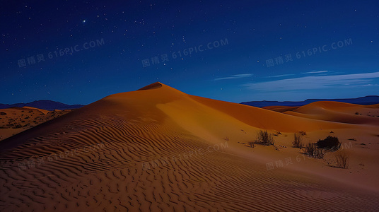 萨满神路：通往灵性世界的古老地图
