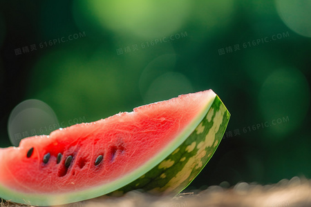 咆哮的传奇:恐龙王的生存之战