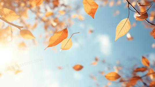 剧场版深度解析:发条装置如何重置爱与命运