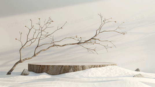 影之档案:探索影之地带的未解之谜