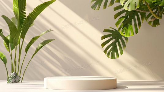 文化冲突与情感共鸣：可可母女对话场景的戏剧张力