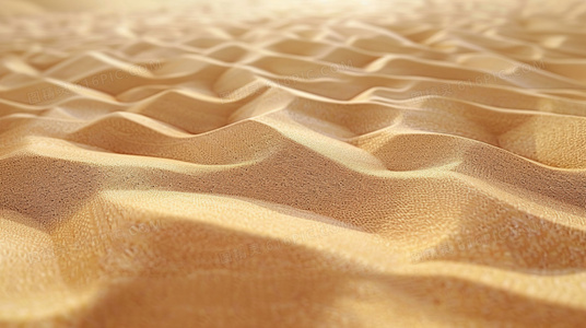 扫径迎君至，蓬荜顿生辉