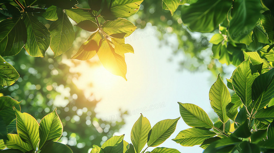 如何安全下载我的婚内情事？避开盗版陷阱的实用建议