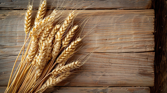 锻打与救赎：铸剑师在烽火江湖中的自我追寻