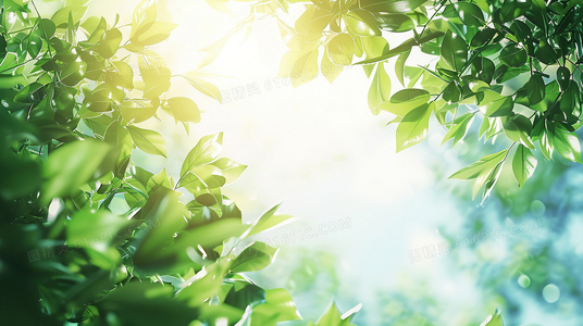 为什么我们总在特定时刻想起如果唱起这首歌?