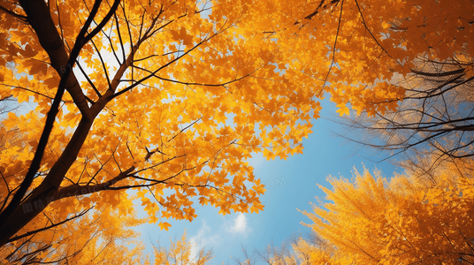 让孩子自信开口：揭秘我会变成巨人英语情景式教学法