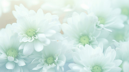 重温经典:少林五祖中五位小演员的演艺之路