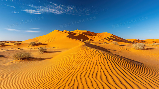 无需视觉的观影体验:揭秘盲人电影院的工作原理