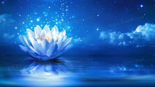 每周笑到胃疼!亏成首富动画追番指南:这些细节你发现了吗?